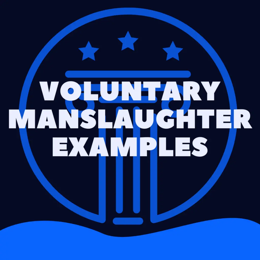 voluntary manslaughter examples