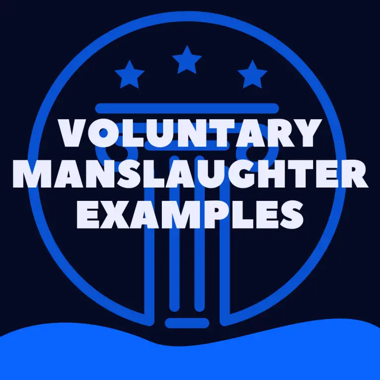 14-examples-of-voluntary-manslaughter-real-people-real-cases-law