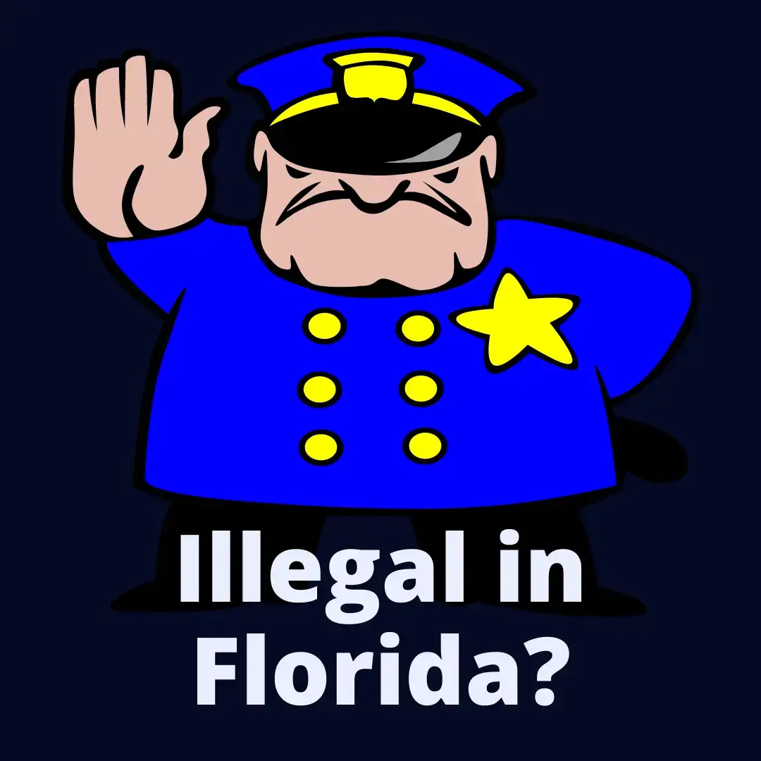 Florida Assault Law