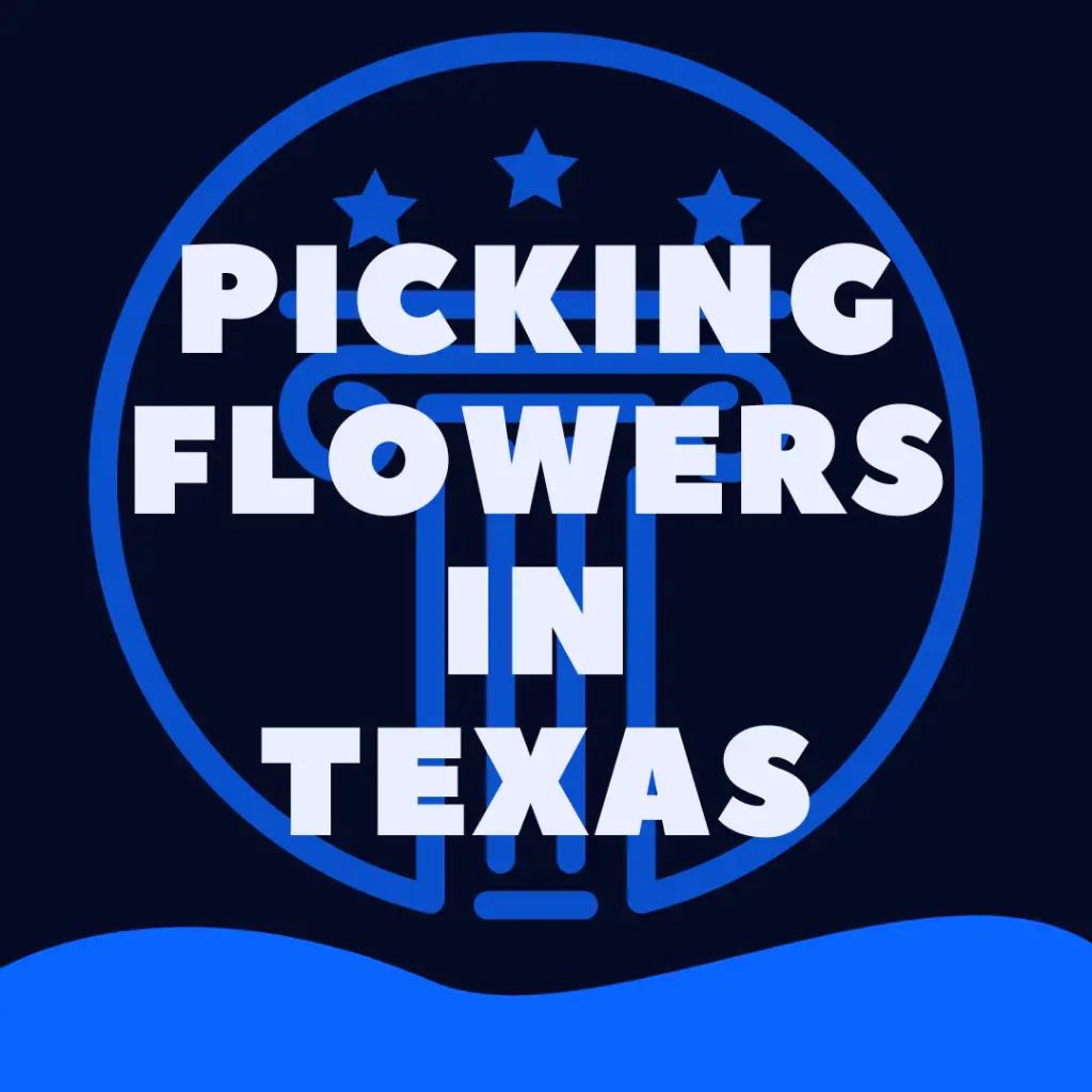 Is It Illegal To Pick Wildflowers In Texas