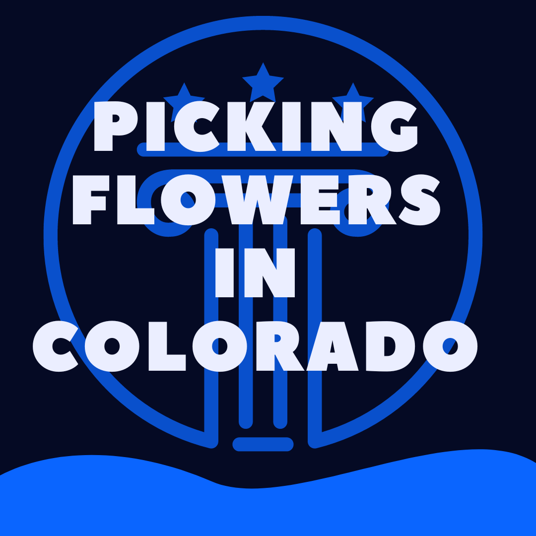 Is It Illegal To Pick Wildflowers In Colorado Law Stuff Explained