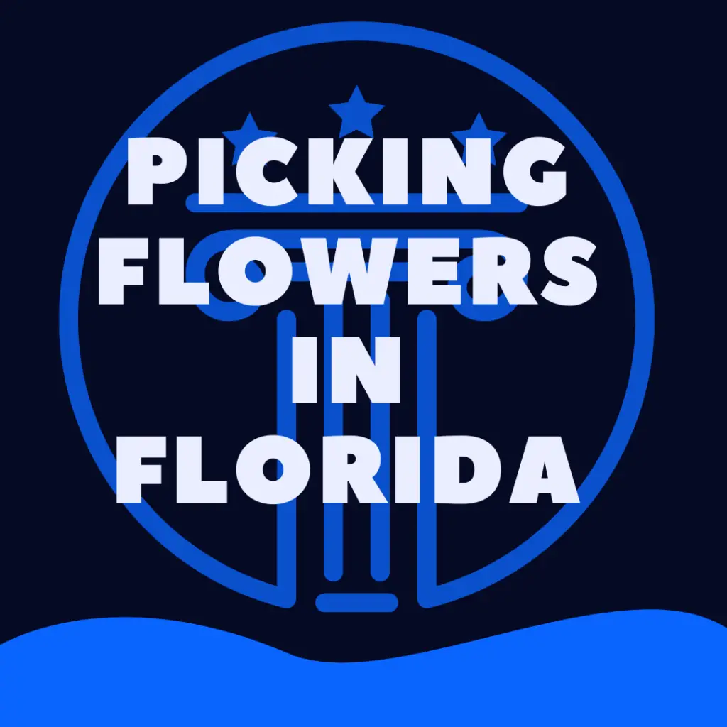 Is It Illegal To Pick Wildflowers In florida