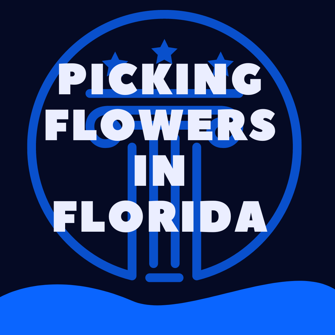 Is It Illegal To Pick Wildflowers In Florida Law Stuff Explained