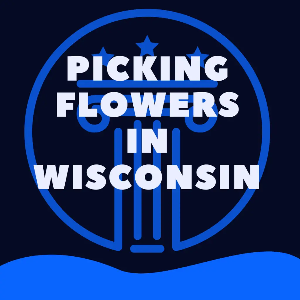 Is It Illegal To Pick Wildflowers In Wisconsin