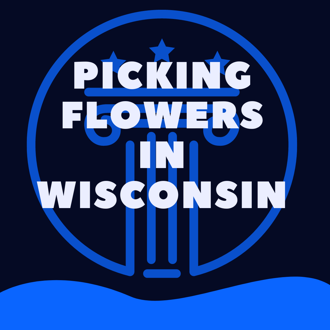 Is It Illegal To Pick Wildflowers In Wisconsin Law Stuff Explained