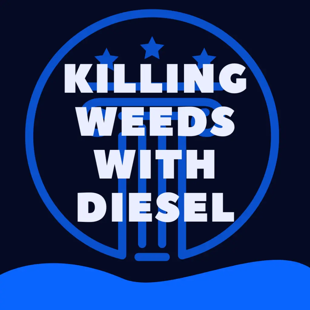 Is It Illegal To Use Diesel To Kill Weeds