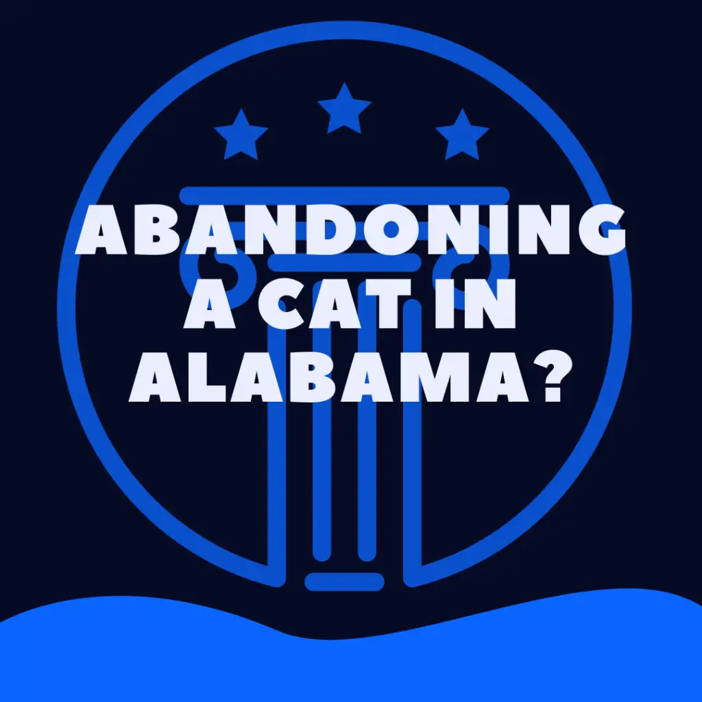 Is It Illegal To Abandon a Cat in Alabama