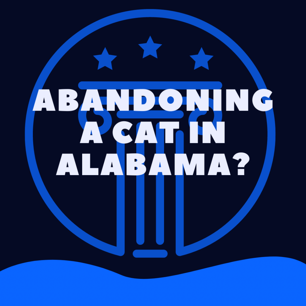 Is It Illegal To Abandon a Cat in Alabama